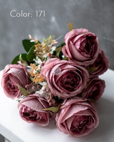 Euro Rose Bush SHY23 - Image 7
