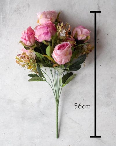 Euro Rose Bush SHY23 - Image 11