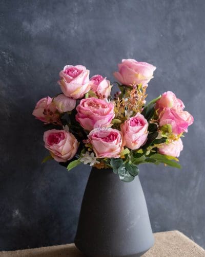 Euro Rose Bush SHY23