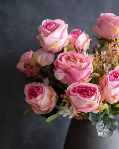 Euro Rose Bush SHY23 - Image 2