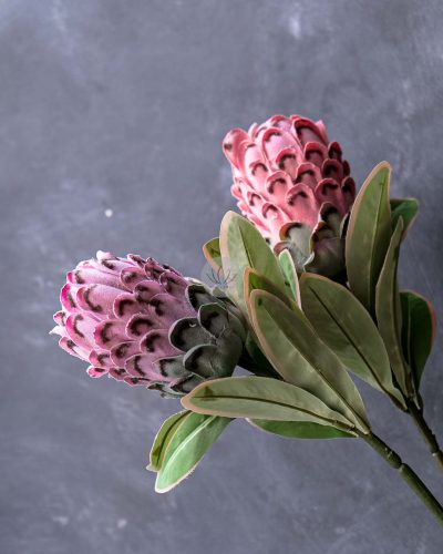 Protea Spray XF9908