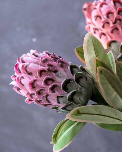 Protea Spray XF9908 - Image 2