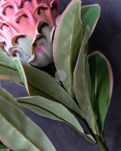 Protea Spray XF9908 - Image 4