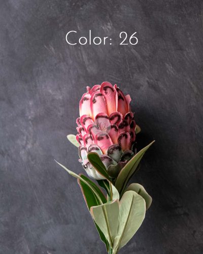 Protea Spray XF9908 - Image 6