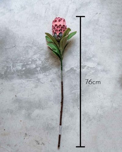 Protea Spray XF9908 - Image 10