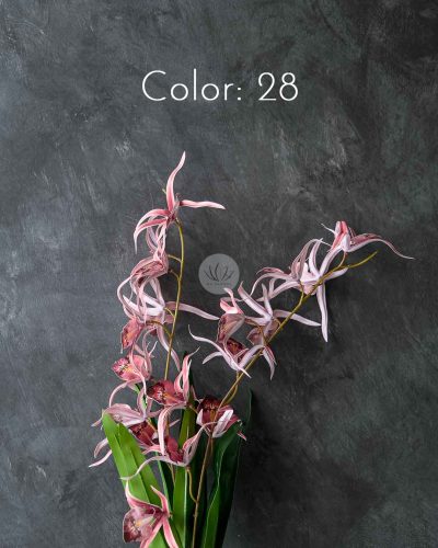 Spider Orchid Spray XF9938 - Image 7