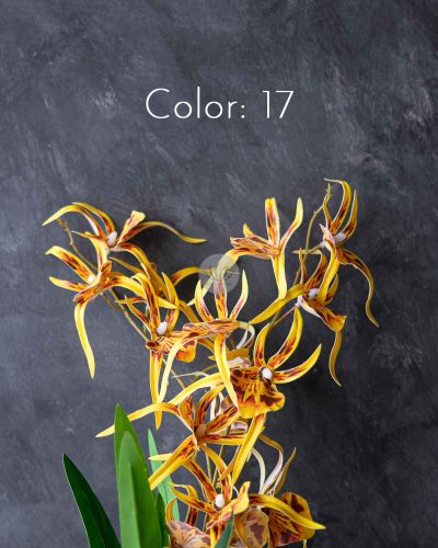 Spider Orchid Spray XF9938 - Image 11