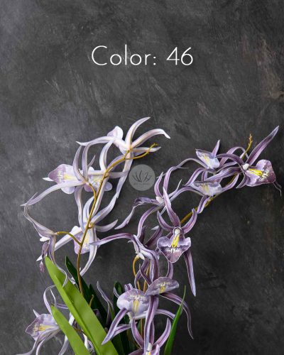 Spider Orchid Spray XF9938 - Image 10