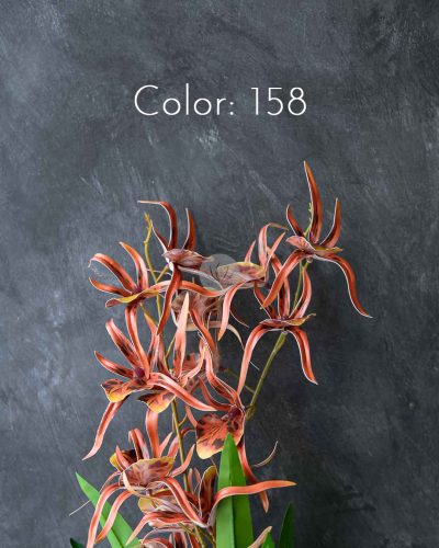 Spider Orchid Spray XF9938 - Image 8