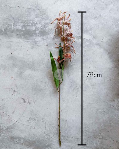 Spider Orchid Spray XF9938 - Image 12