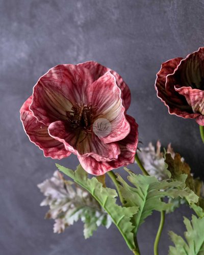 Eva Poppy Spray XF9937 - Image 2