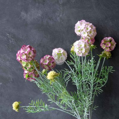 Pristiemra Spray XF9946