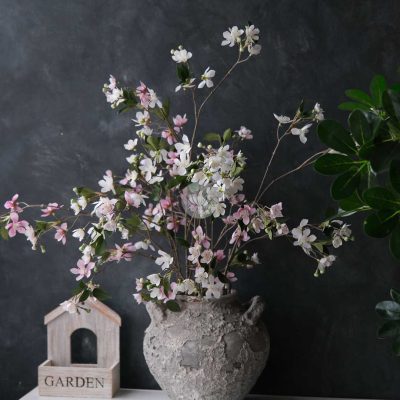 Star Flower BF448