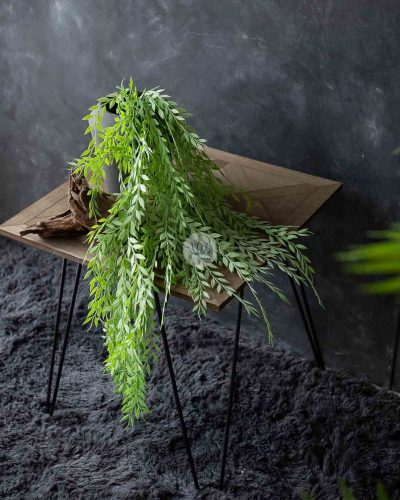 Willow Leaf Bush K115