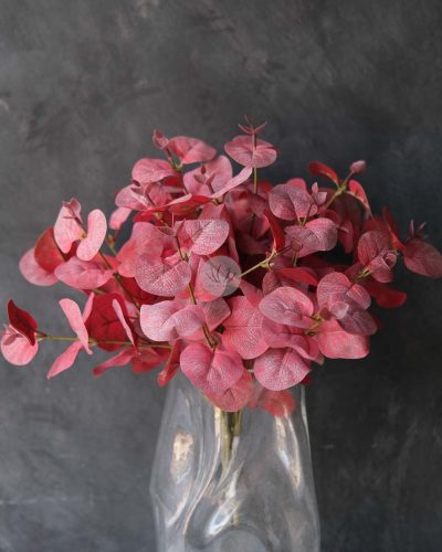 Silver Dollar Bush XL9534