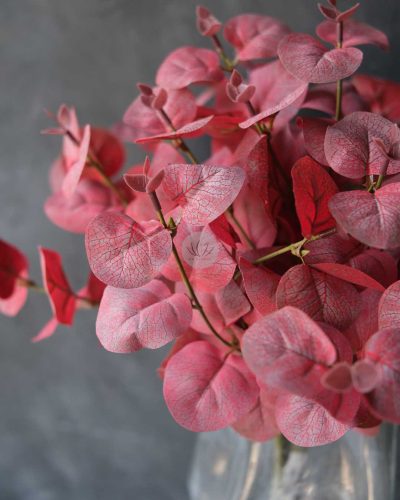 Silver Dollar Bush XL9534 - Image 2