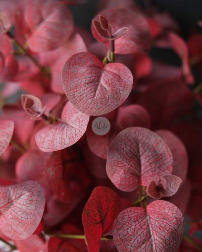 Silver Dollar Bush XL9534 - Image 3