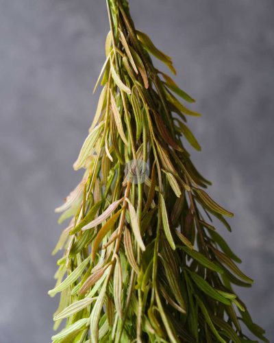 Fox Grass Spray LWP7370 - Image 2