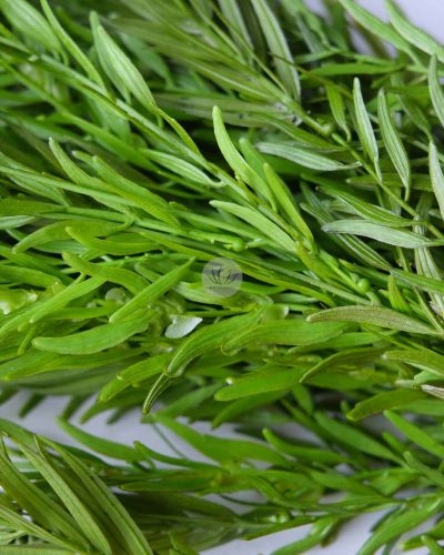 Fox Grass Spray LWP7370 - Image 4