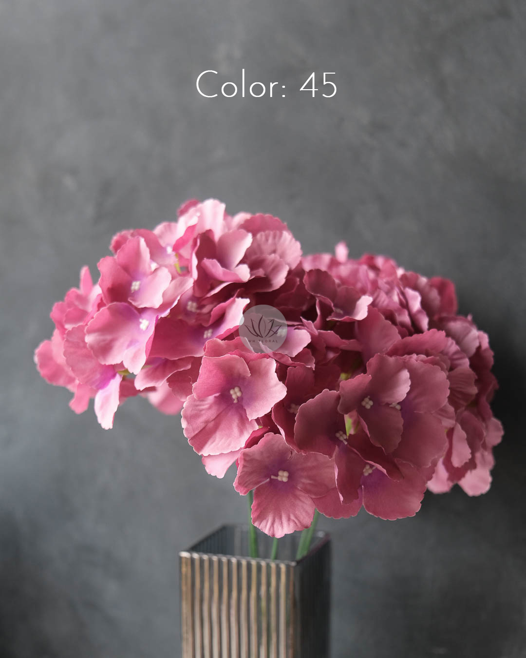 Hydrangea Bush XH9875 - Image 26