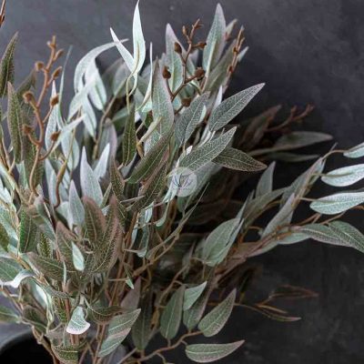 Ruscus Leaf Bush CXT0074