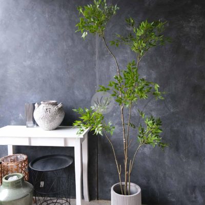 Nandin Tree LWP7443
