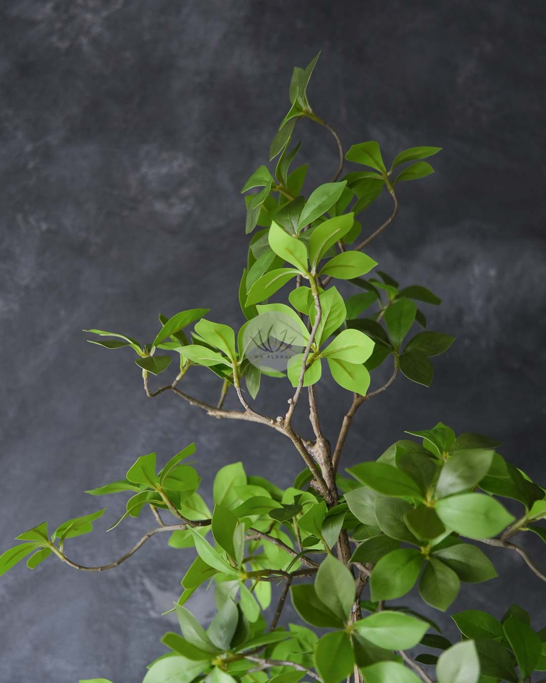 Gardenia Leaf Tree LWP7479/7480 - Image 6
