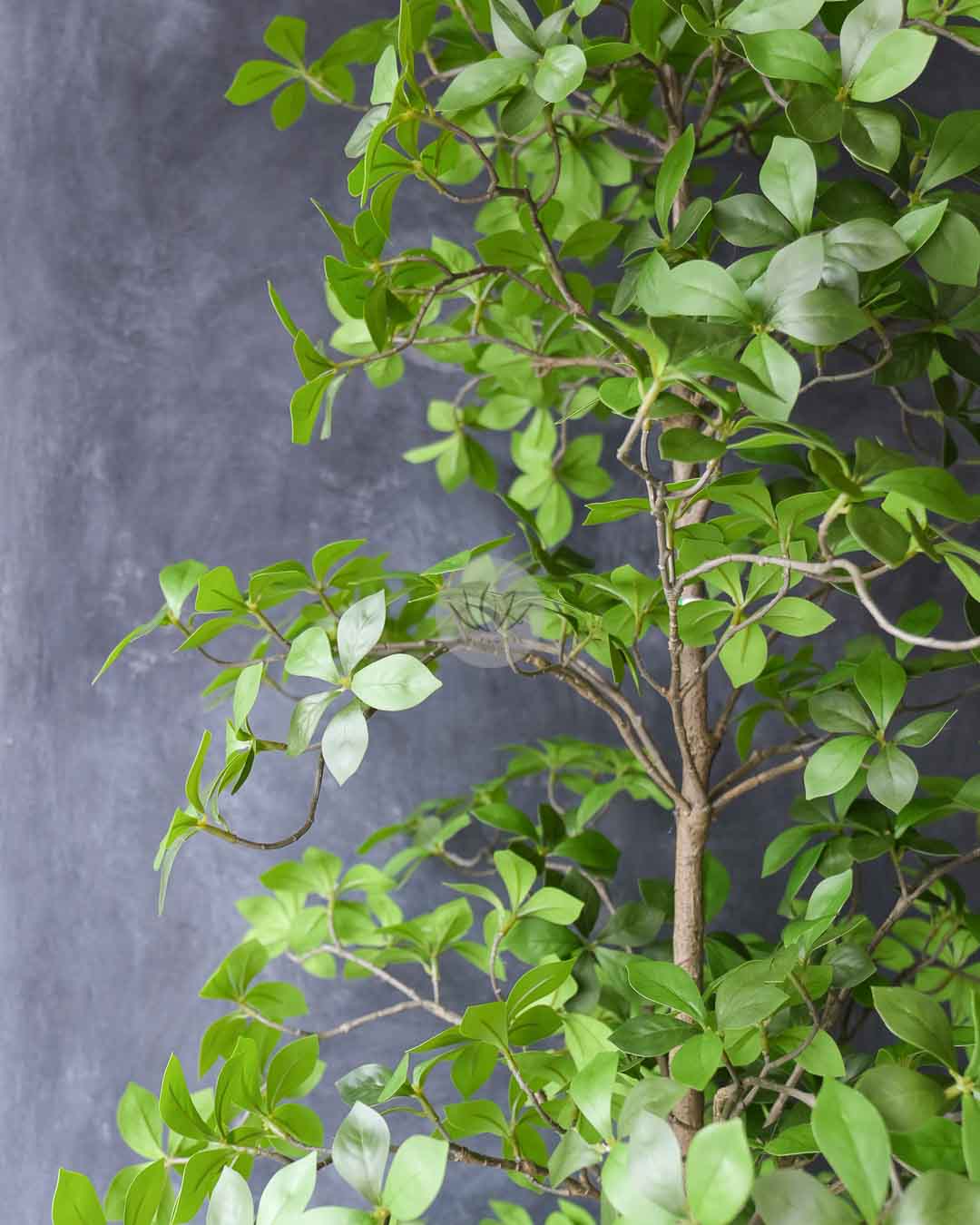 Gardenia Leaf Tree LWP7479/7480 - Image 4