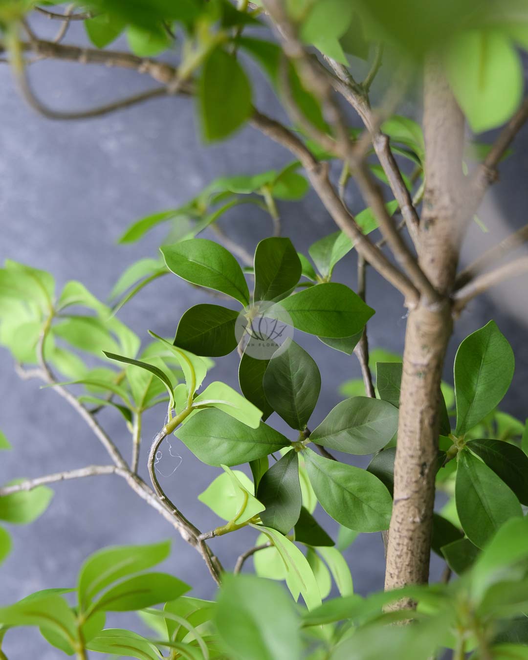 Gardenia Leaf Tree LWP7479/7480 - Image 3