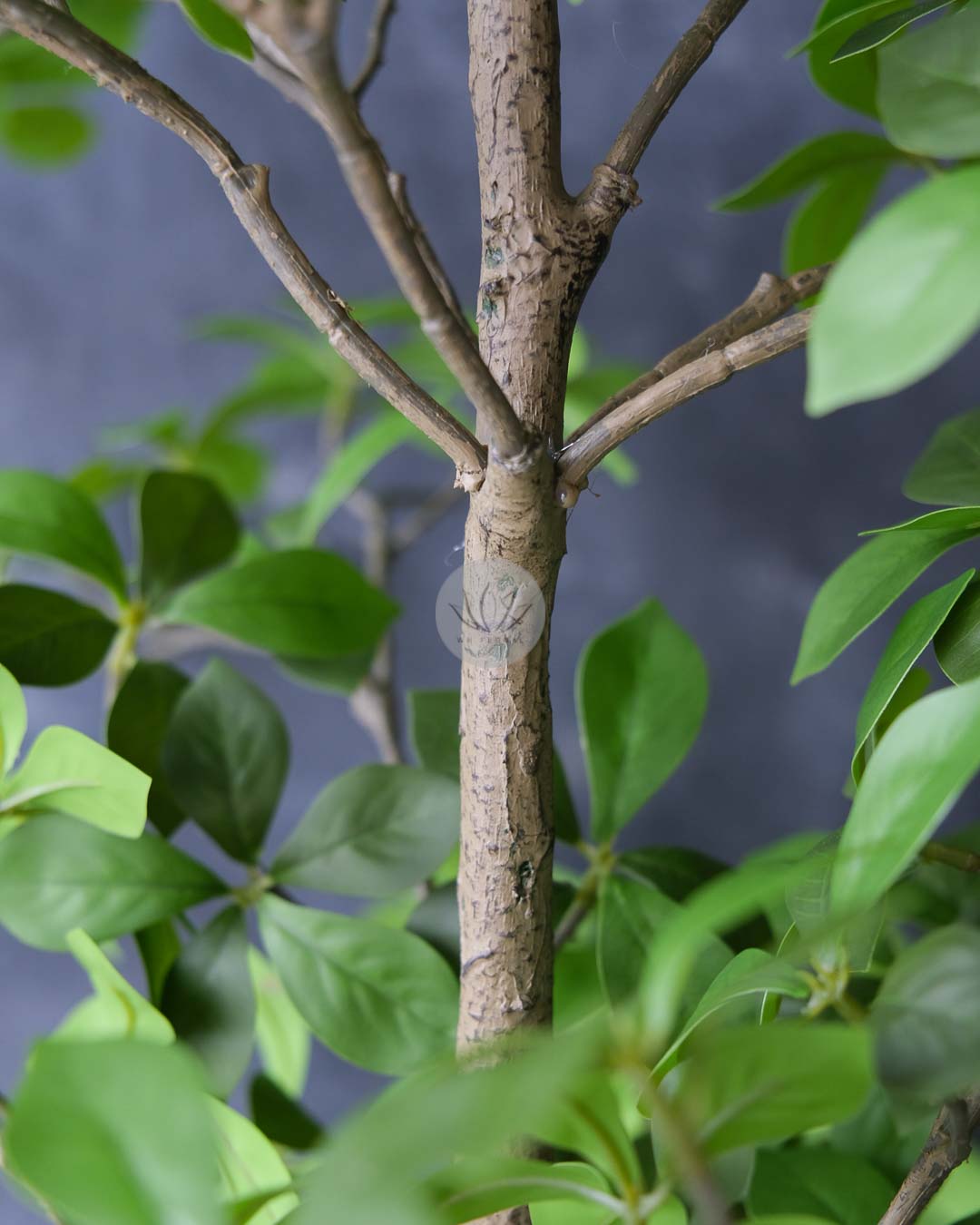 Gardenia Leaf Tree LWP7479/7480 - Image 2