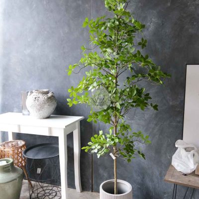 Gardenia Leaf Tree LWP7479/7480