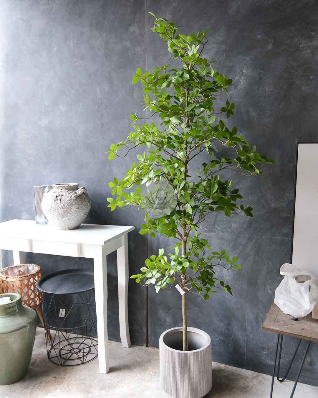 Gardenia Leaf Tree LWP7479/7480