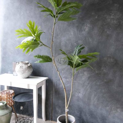 Breadfruit Tree LWP7492
