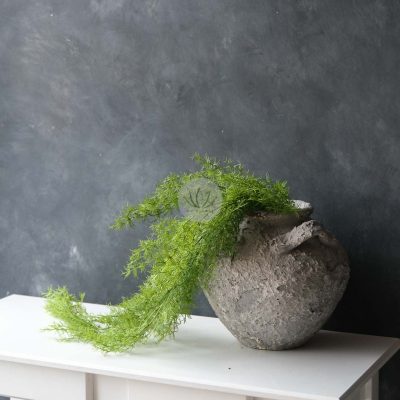 Cedar Leaf LWL7494