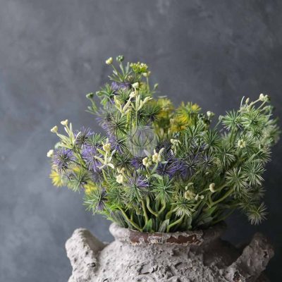 Sea Holly Bush LWL7513