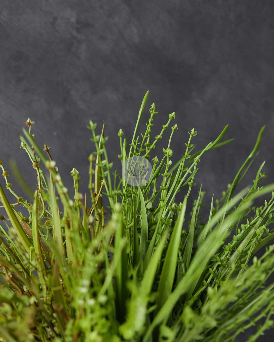 Grass Bush LWL7499 - Image 2