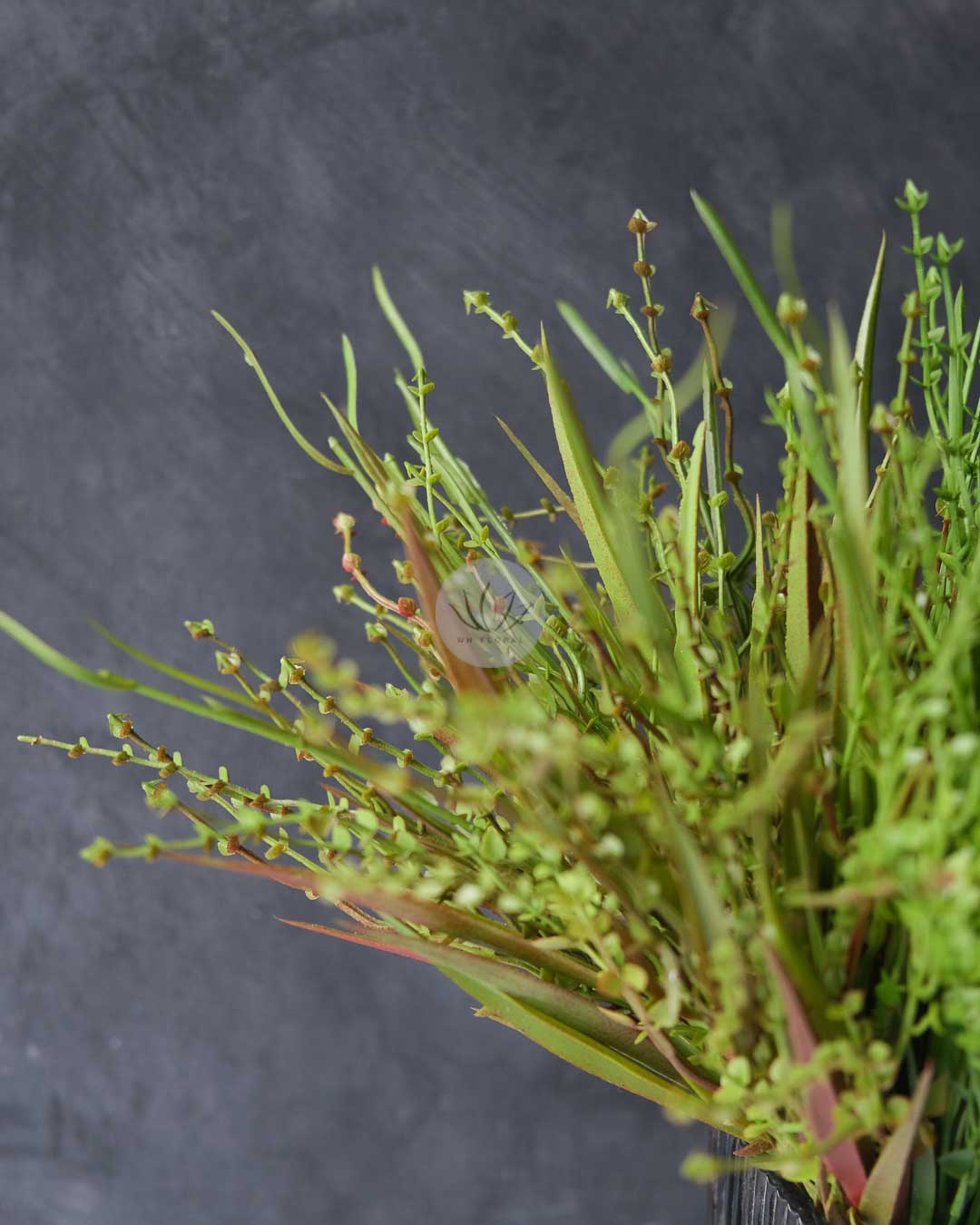 Grass Bush LWL7499 - Image 3