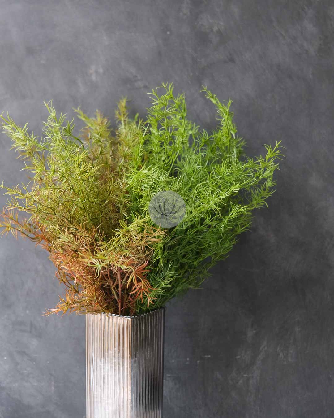 Cedar Leaf Bush LWL7497