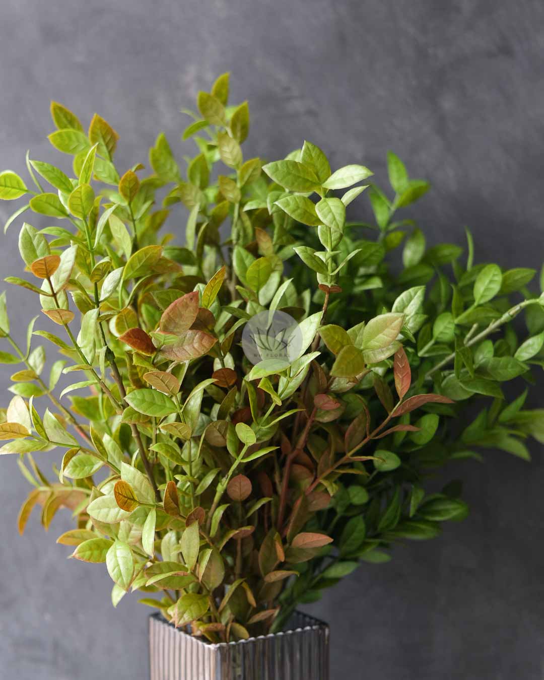 Ficus Leaf Bush LWL7498 - Image 4