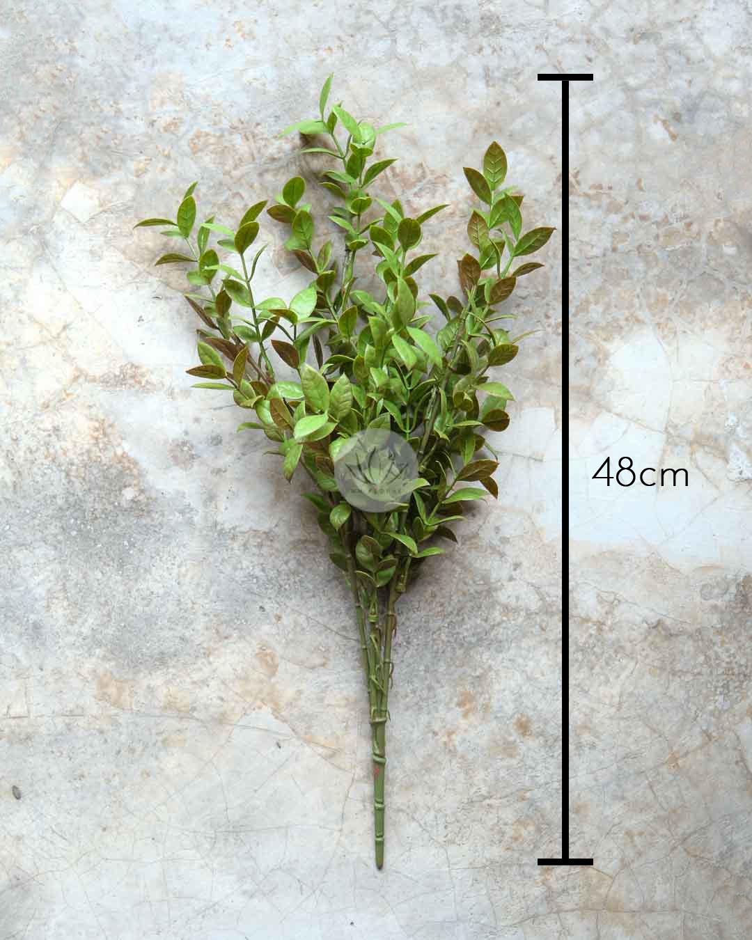 Ficus Leaf Bush LWL7498 - Image 8
