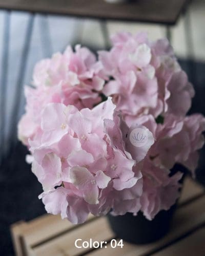 Hydrangea XWF9751 - Image 4
