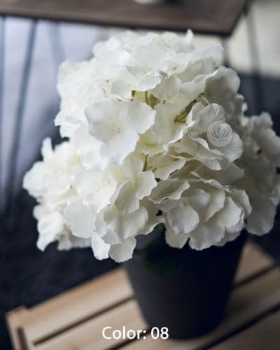 Hydrangea XWF9751 - Image 5