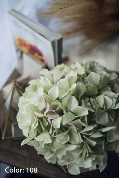 Hydrangea Head LCMHY033 - Image 3