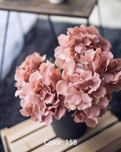 Hydrangea XWF9751 - Image 14