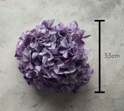 Hydrangea Head LCMHY033 - Image 10