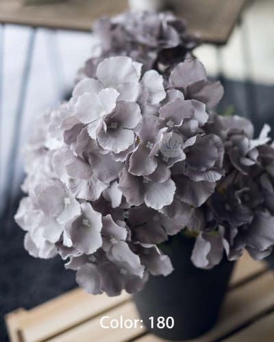 Hydrangea XWF9751 - Image 15