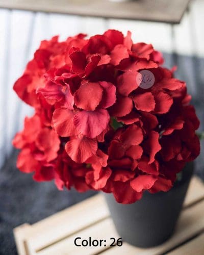 Hydrangea XWF9751 - Image 7