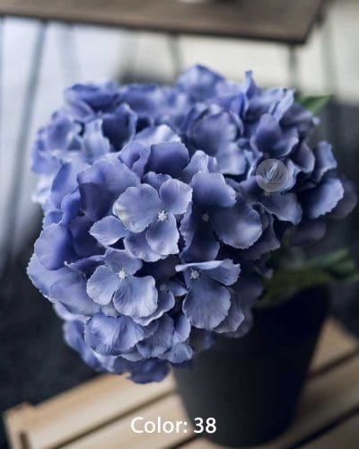 Hydrangea XWF9751 - Image 8