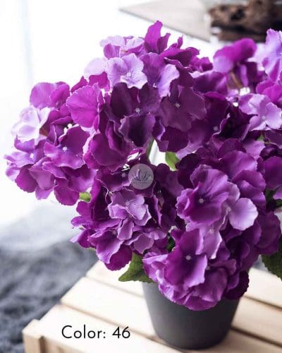 Hydrangea XWF9751 - Image 9