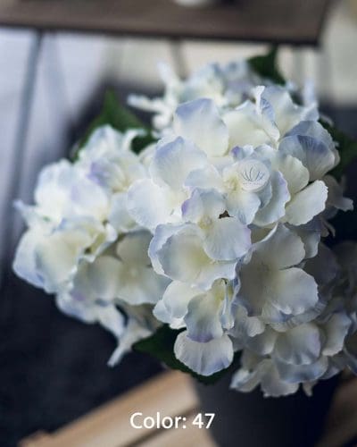 Hydrangea XWF9751 - Image 10